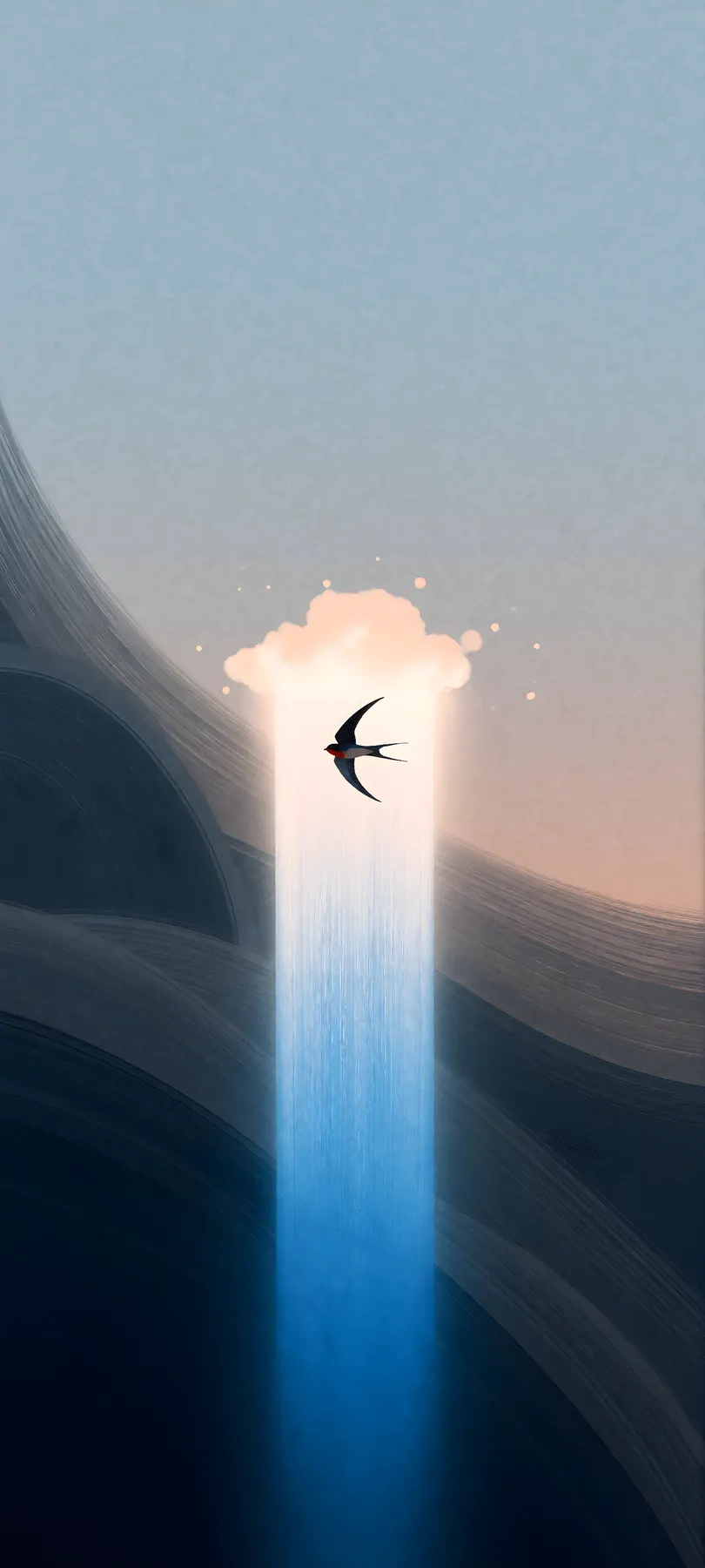 single swift