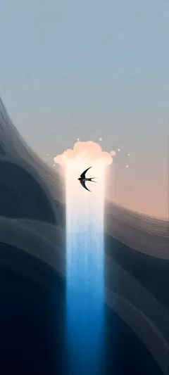 single swift