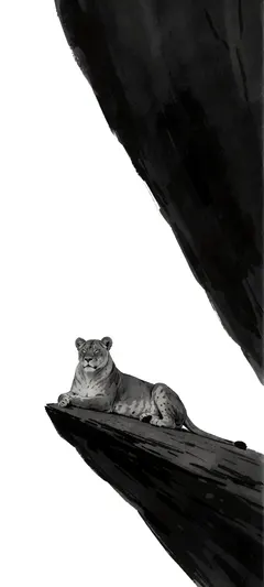 resting lioness
