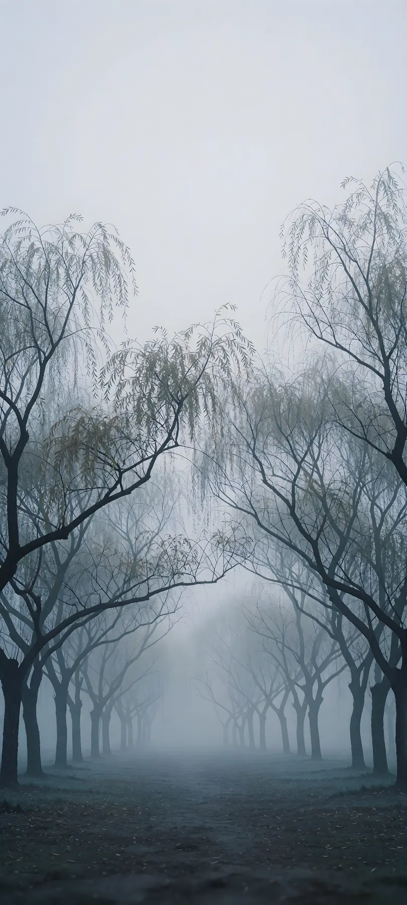 fog