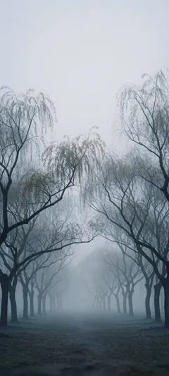 fog