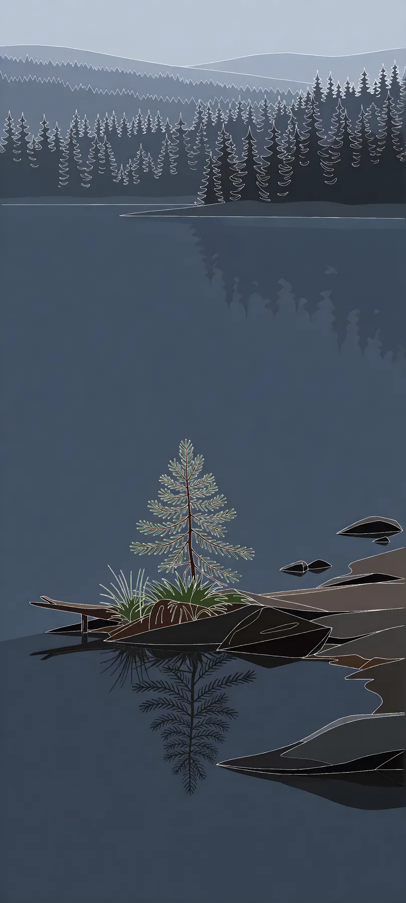 evergreen lakeshore sapling