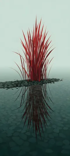 scarlet reeds