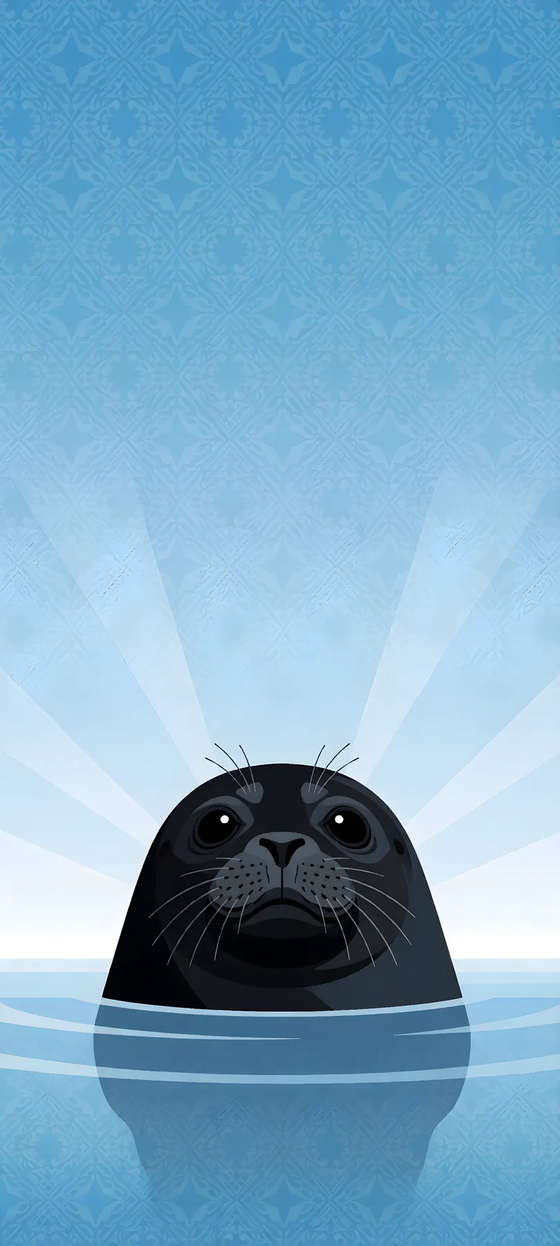 black seal pup