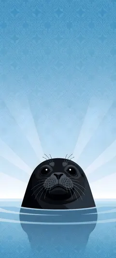 black seal pup