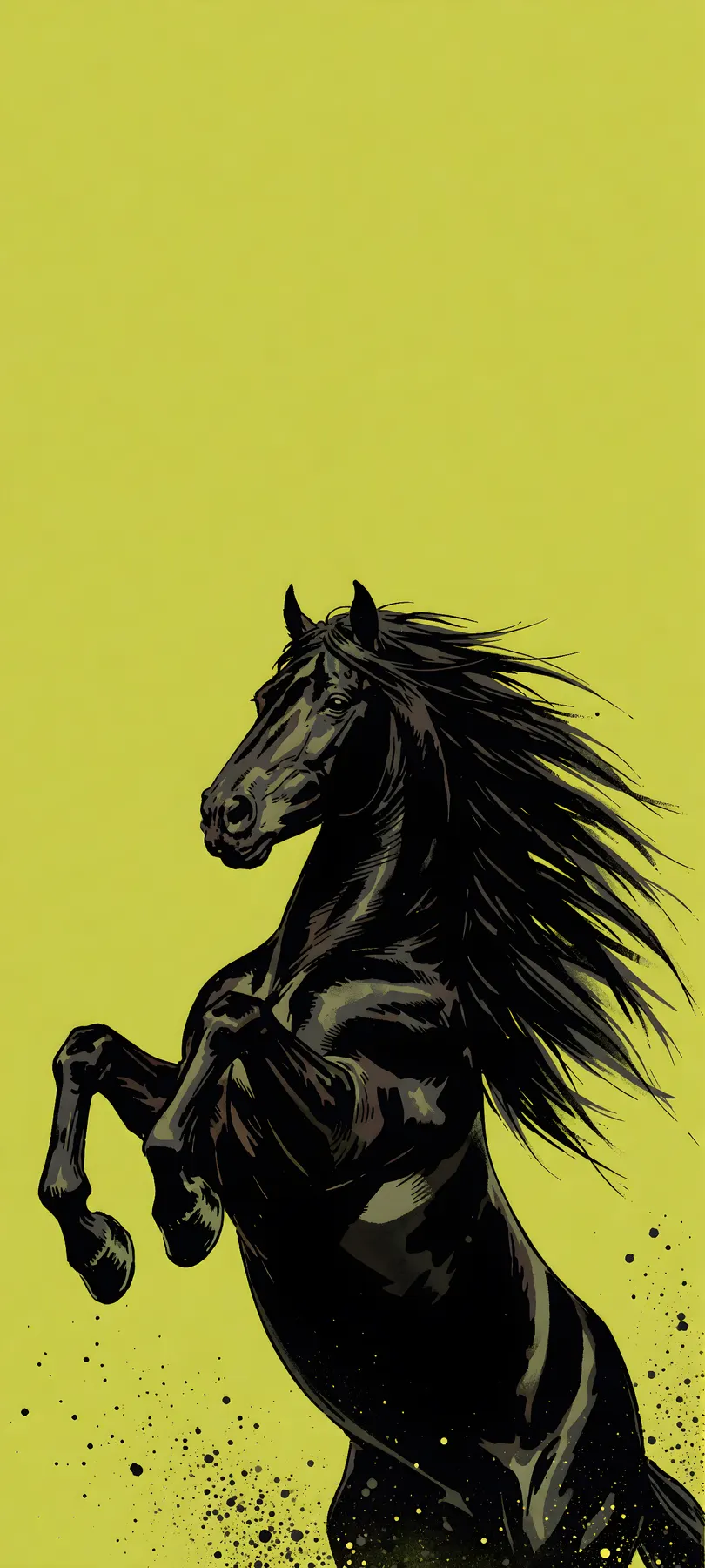 rearing black stallion