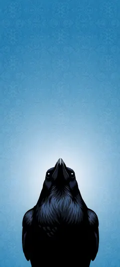 wide-eyed black raven