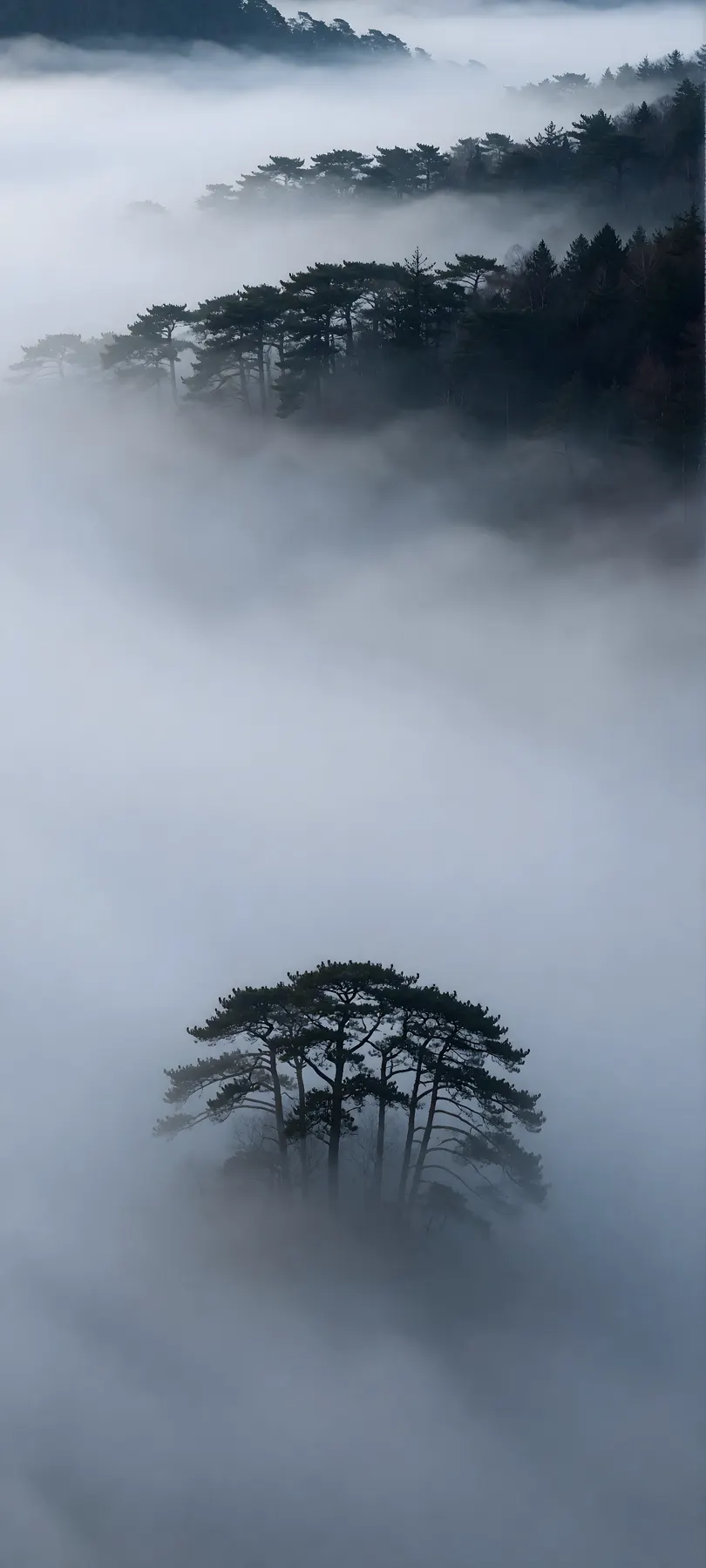 fog
