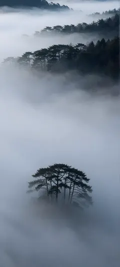 fog