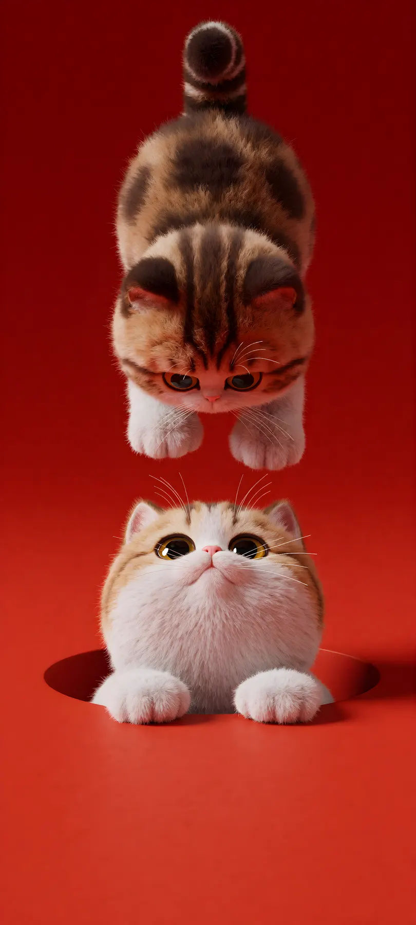 two kittens