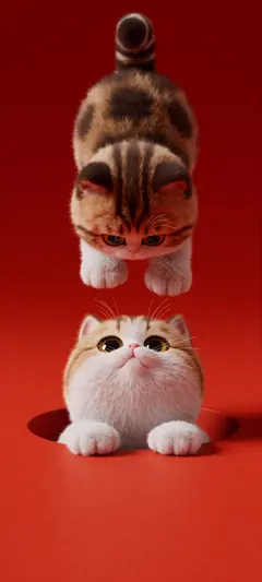 two kittens