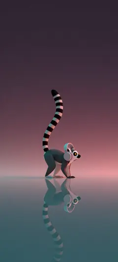 ring-tailed lemur