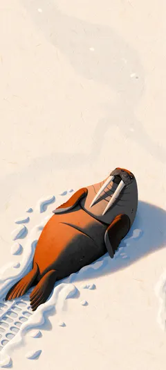 walrus on snow