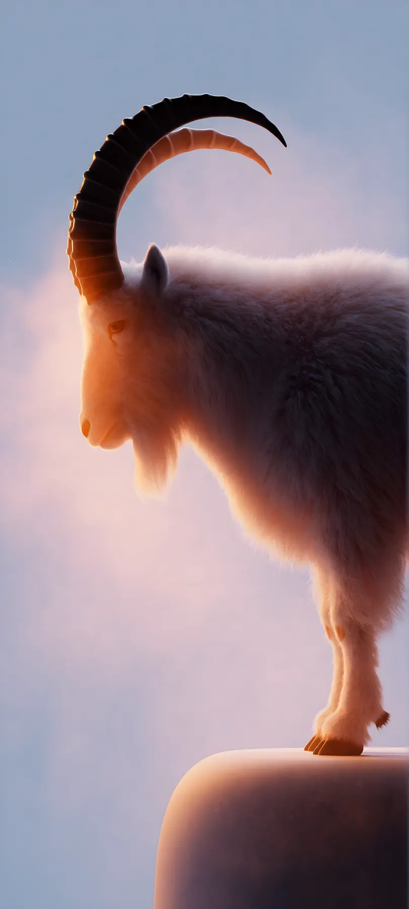 mountain goat
