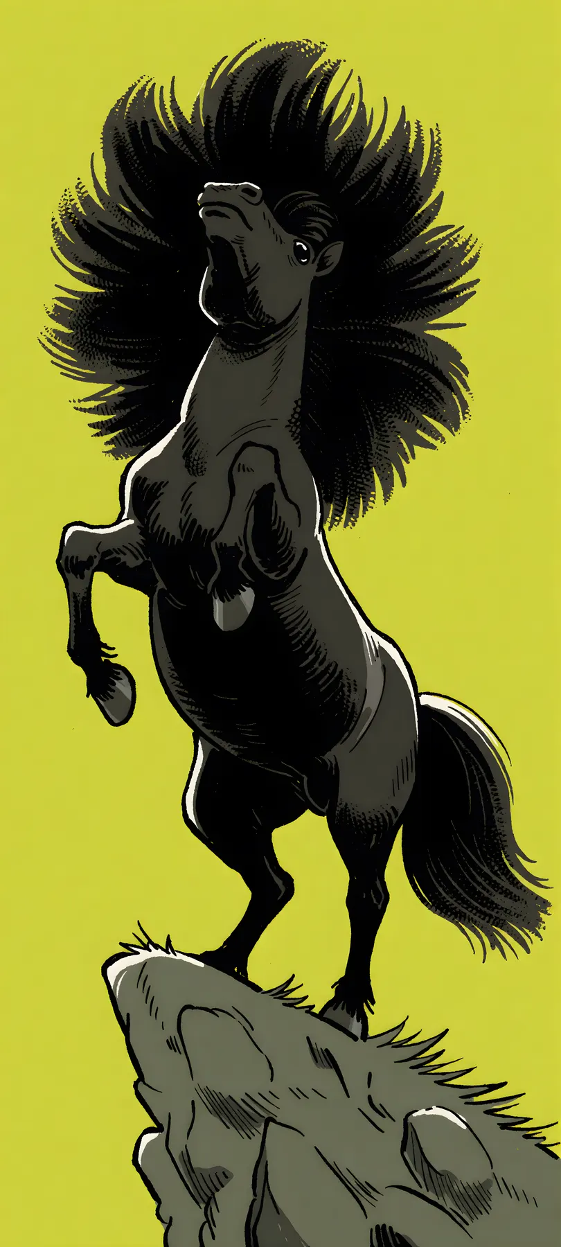 wild black pony
