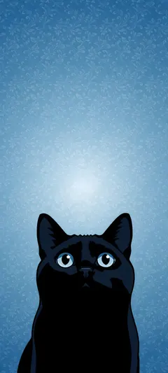 geometric black cat