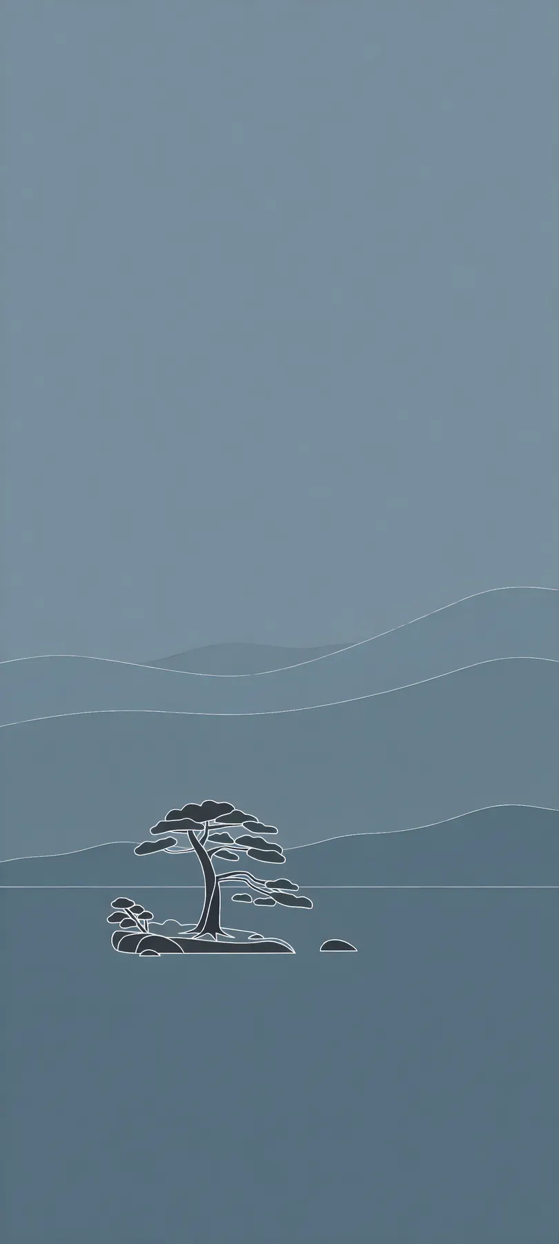 ancient pine on islet