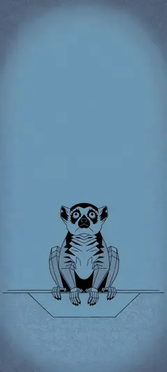 wide-eyed nocturnal lemur