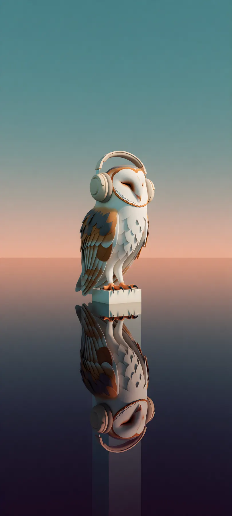 barn owl